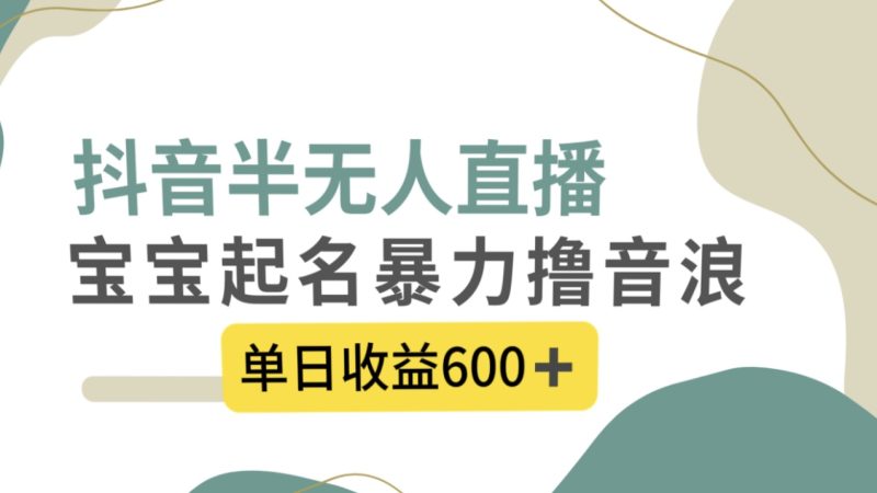 （8192期）抖音半无人直播，宝宝起名，暴力撸音浪，单日收益600+-副业网
