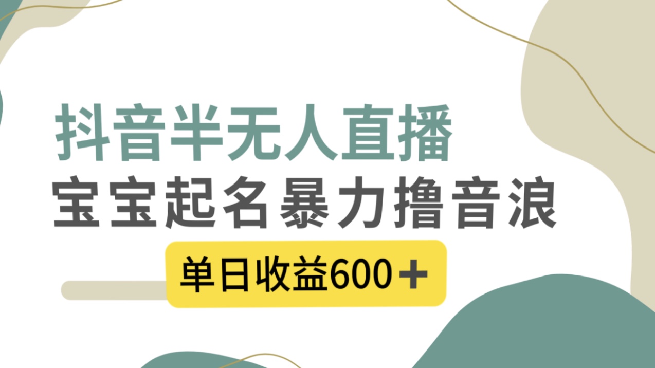 （8192期）抖音半无人直播，宝宝起名，暴力撸音浪，单日收益600+-副业网