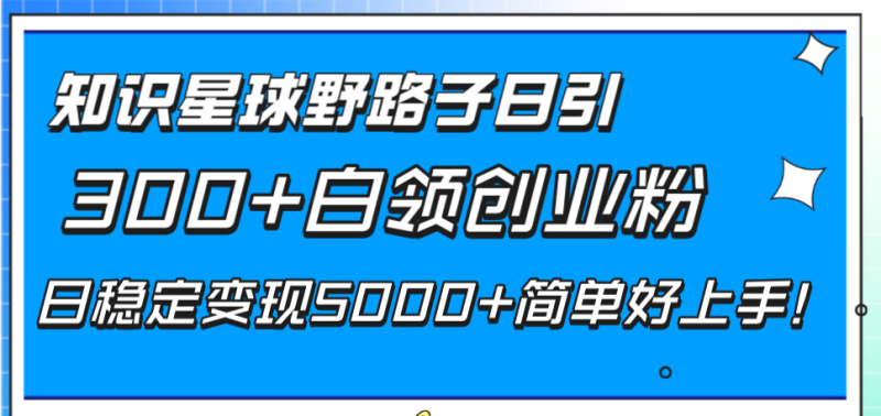 (8315期)知识星球野路子日引300+白领创业粉,日稳定变现5000+简单好上手!-副业网