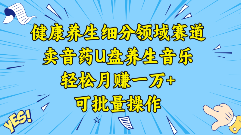 (8503期)健康养生细分领域赛道,卖音药U盘养生音乐,轻松月赚一万+,可批量操作-副业网