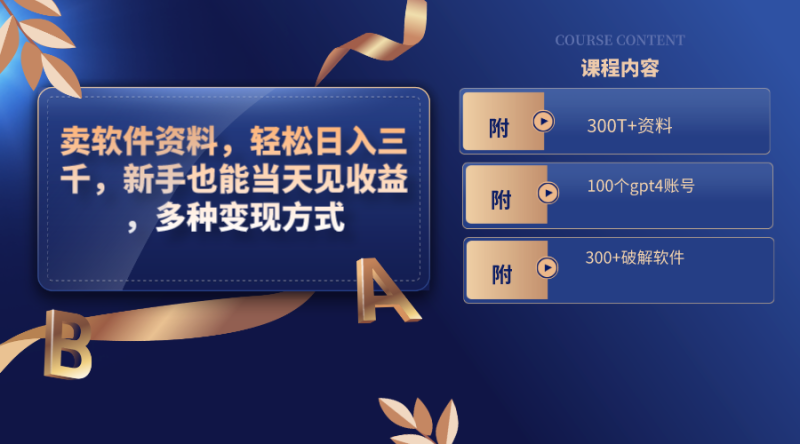 (8582期)卖软件资料,轻松日入三千,新手也能当天见收益,多种变现方式,(附300…-副业网