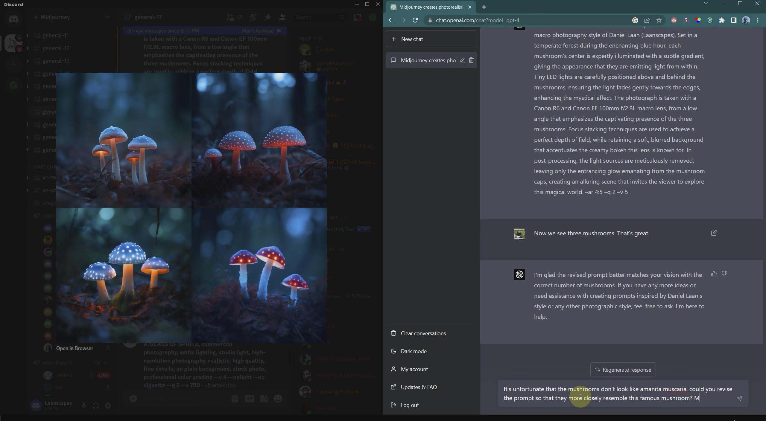 图片[6]-（8717期）摄影师 Daniel Laan 使用ChatGPT与Midjourney生成风光图像-中英字幕-副业网