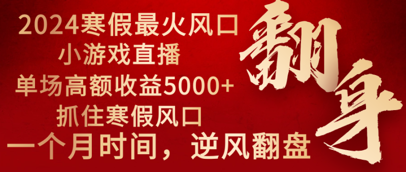（8766期）2024年最火寒假风口项目 小游戏直播 单场收益5000+抓住风口 一个月直接提车-副业网