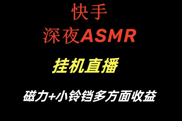 （8758期）快手深夜ASMR挂机直播磁力+小铃铛多方面收益-副业网