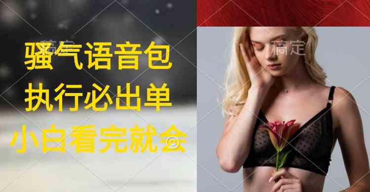 （9589期）执行就出单，日入2000+，超火骚气语音包，小白看完课程就能马上实操-副业网