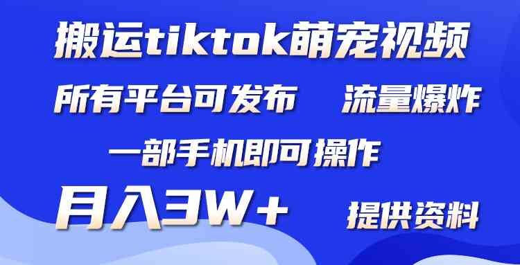 （9618期）搬运Tiktok萌宠类视频，一部手机即可。所有短视频平台均可操作，月入3W+-副业网