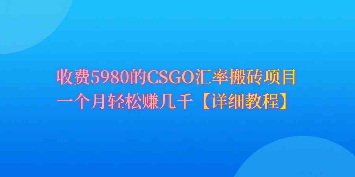 （9776期）CSGO装备搬砖，月综合收益率高达60%，你也可以！-副业网