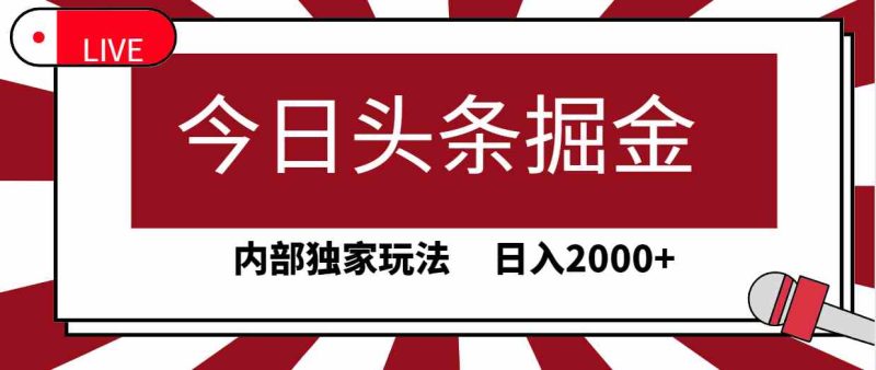 (9832期)今日头条掘金,30秒一篇文章,内部独家玩法,日入2000+-副业网