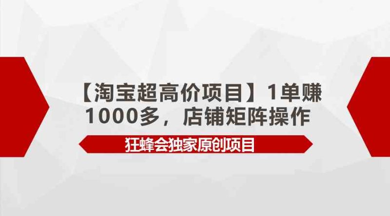 （9849期）【淘宝超高价项目】1单赚1000多，店铺矩阵操作-副业网