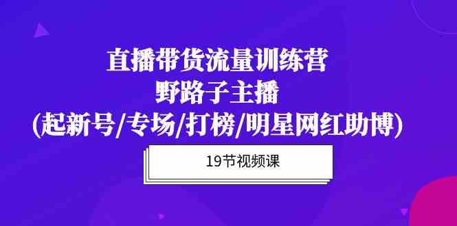 （10016期）直播带货流量特训营，野路子主播(起新号/专场/打榜/明星网红助博)19节课-副业网