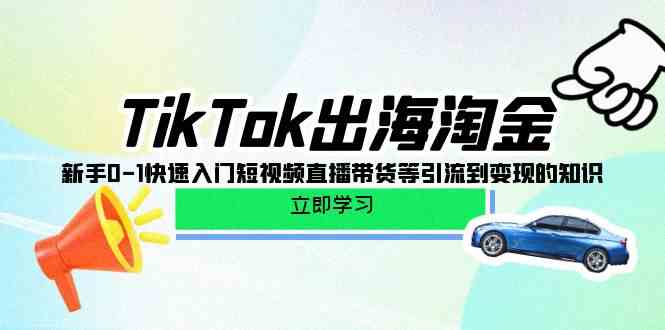 （10035期）TikTok-出海淘金，新手0-1快速入门短视频直播带货等引流到变现的知识-副业网