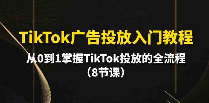 （10085期）TikTok广告投放入门教程，从0到1掌握TikTok投放的全流程（8节课）-副业网