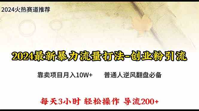 （10151期）2024年最新暴力流量打法，每日导入300+，靠卖项目月入10W+-副业网