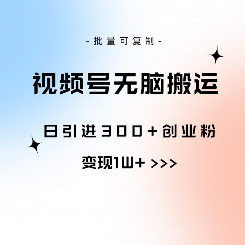 （10612期）视频号无脑搬运日引300+创业粉，变现1W+可批量复制-副业网