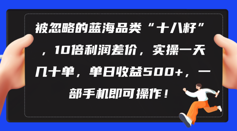 （10696期）被忽略的蓝海品类“十八籽”，10倍利润差价，实操一天几十单 单日收益500+-副业网