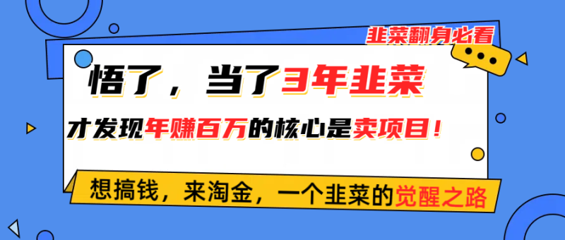 （10759期）悟了，当了3年韭菜，才发现网赚圈年赚100万的核心是卖项目，含泪分享！-副业网