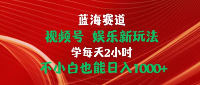 （10818期）蓝海赛道视频号 娱乐新玩法每天2小时小白也能日入1000+-副业网