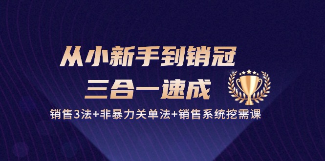 （10799期）从小新手到销冠 三合一速成：销售3法+非暴力关单法+销售系统挖需课 (27节)-副业网