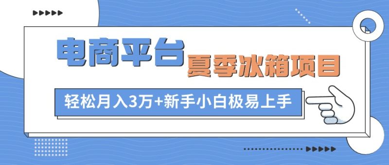 （10934期）电商平台夏季冰箱项目，轻松月入3万+，新手小白极易上手-副业网