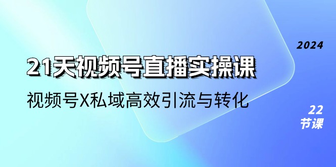 （10966期）21天-视频号直播实操课，视频号X私域高效引流与转化（22节课）-副业网