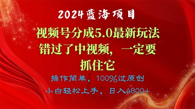 （11032期）2024蓝海项目，视频号分成计划5.0最新玩法，错过了中视频，一定要抓住…-副业网