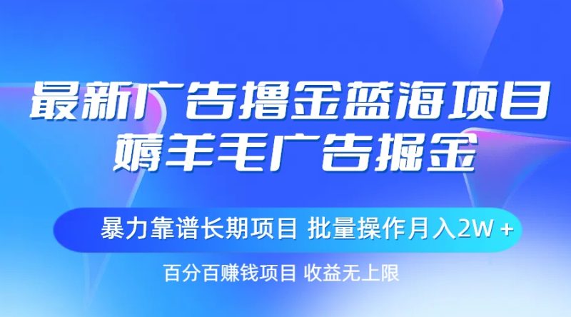 (11193期)最新广告撸金蓝海项目,薅羊毛广告掘金 长期项目 批量操作月入2W+-副业网