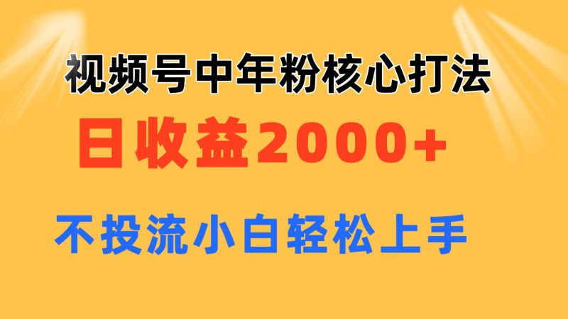 （11205期）视频号中年粉核心玩法 日收益2000+ 不投流小白轻松上手-副业网