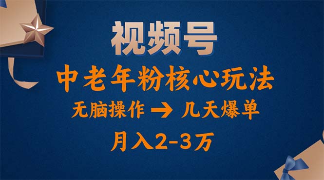 （11288期）视频号火爆玩法，高端中老年粉核心打法，无脑操作，一天十分钟，月入两万-副业网