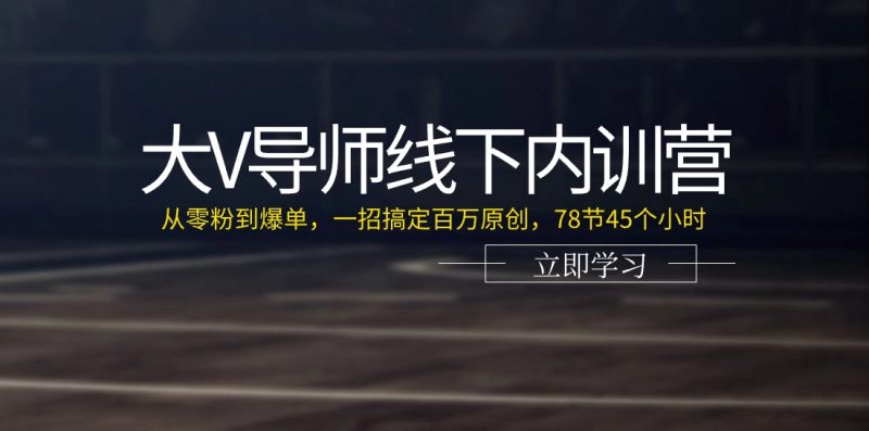 （11261期）大V导师线下内训营：从零粉到爆单，一招搞定百万原创，78节45个小时-副业网