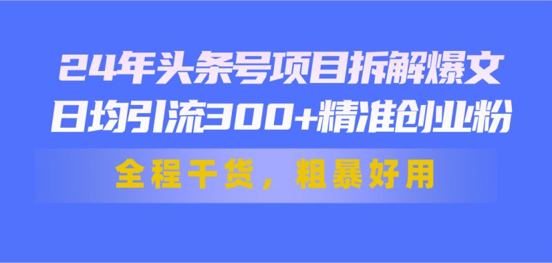 （11397期）24年头条号项目拆解爆文，日均引流300+精准创业粉，全程干货，粗暴好用-副业网