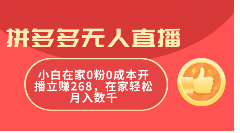 (11521期)拼多多无人直播,小白在家0粉0成本开播立赚268,在家轻松月入数千-副业网