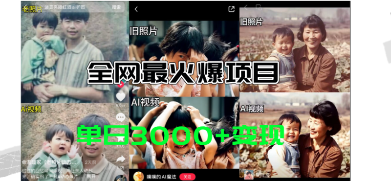 （11546期）全网爆火的AI让老照片动起来教程，蹭热点日赚3000+，内含免费工具一键…-副业网