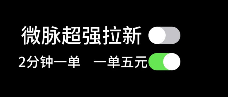 （11580期）微脉超强拉新， 两分钟1单， 一单利润5块，适合小白-副业网