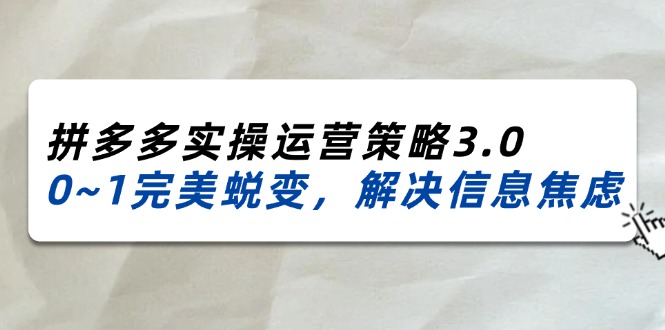 （11658期）2024_2025拼多多实操运营策略3.0，0~1完美蜕变，解决信息焦虑（38节）-副业网