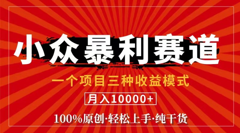 (11695期)视频号【中老年粉深信不疑】小众赛道 100%原创 手把手教学 新号3天收益…-副业网