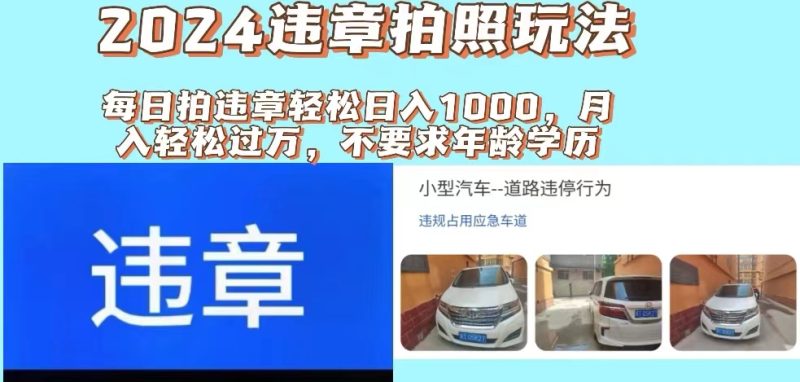 （11743期）2024违章拍照新玩法，推广躺赚+拍照赚钱双模式，日入1000+-副业网