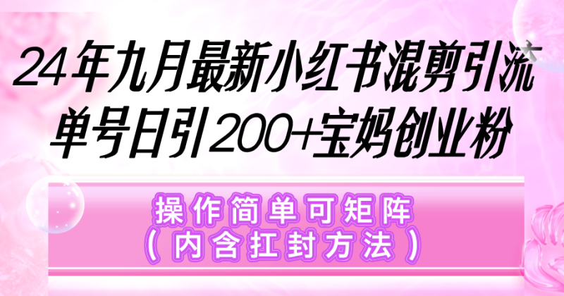 (12530期)小红书混剪引流,单号日引200+宝妈创业粉,操作简单可矩阵(内含扛封…-副业网