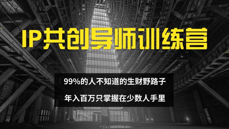 (12504期)IP共创导师训练营 99%的人不知道的生财野路子 只掌握在少数人手里-副业网