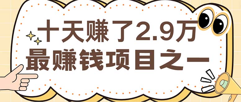 （12491期）闲鱼小红书赚钱项目之一，轻松月入6万+项目-副业网