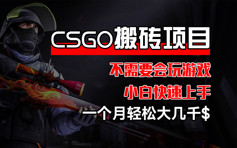 （12332期）CSGO 装备搬砖项目，操作简单，不需要会玩游戏，小白也能快速上手，一…-副业网