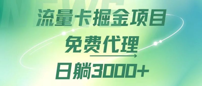 （12321期）流量卡掘金代理，日躺赚3000+，变现暴力，多种推广途径-副业网