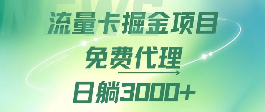 （12321期）流量卡掘金代理，日躺赚3000+，变现暴力，多种推广途径-副业网