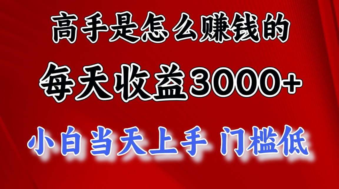 （12144期）1天收益3000+，月收益10万以上，24年8月份爆火项目-副业网