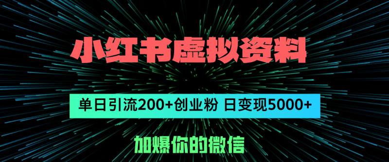 （12164期）小红书虚拟资料日引流200+创业粉，单日变现5000+-副业网