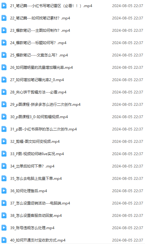 图片[3]-（12003期）2024小红书电商实战课：全体系打造 全方位梳理 小红书电商逻辑体系 (42节)-副业网