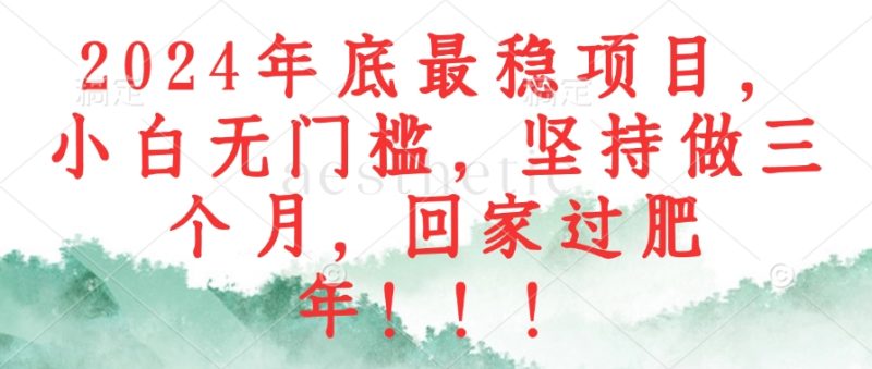（12970期）2024年底最稳项目，小白无门槛，坚持做三个月，回家过肥年！！！-副业网