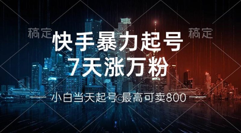 (13142期)快手暴力起号,7天涨万粉,小白当天起号 多种变现方式,账号回收,单月…-副业网