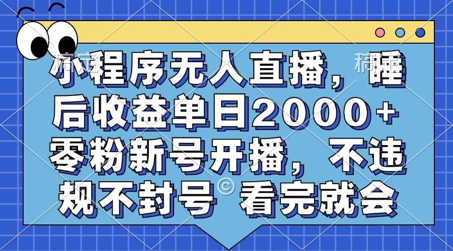 （13251期）小程序无人直播，睡后收益单日2000+ 零粉新号开播，不违规不封号 看完就会-副业网