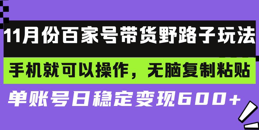 （13281期）百家号带货野路子玩法 手机就可以操作，无脑复制粘贴 单账号日稳定变现…-副业网