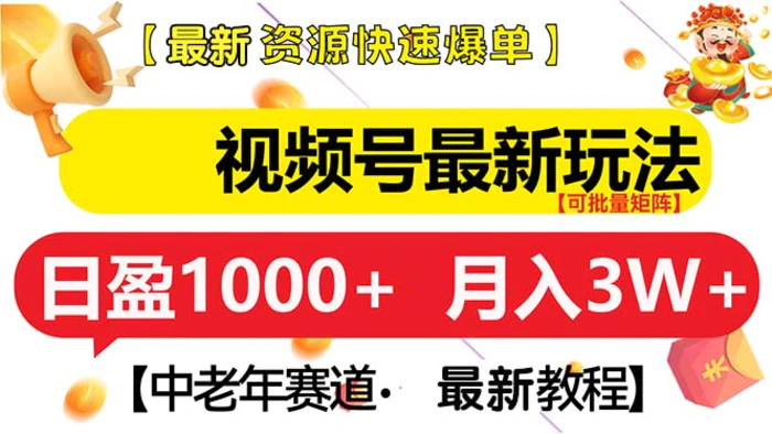 （13530期）视频号最新玩法 中老年赛道 月入3W+-副业网